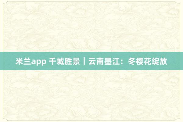 米兰app 千城胜景｜云南墨江：冬樱花绽放