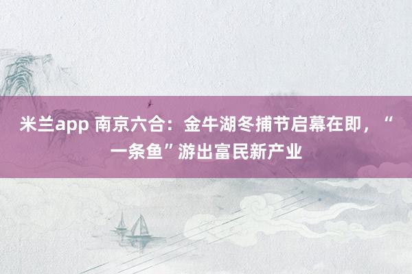 米兰app 南京六合：金牛湖冬捕节启幕在即，“一条鱼”游出富民新产业