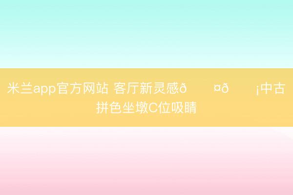 米兰app官方网站 客厅新灵感🟤🟡中古拼色坐墩C位吸睛